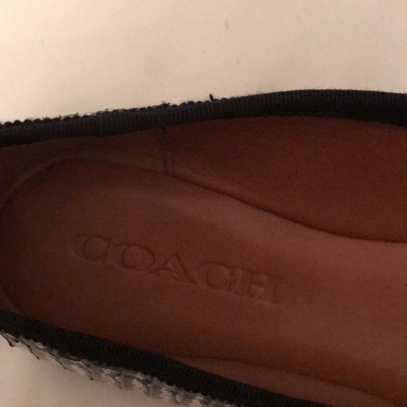 Snakeskin Coach flats - Picture 3 of 5